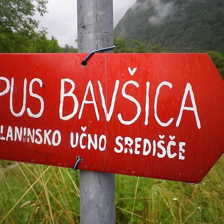 Pus Bavsica Vandrarhem Log pod Mangartom Exteriör bild