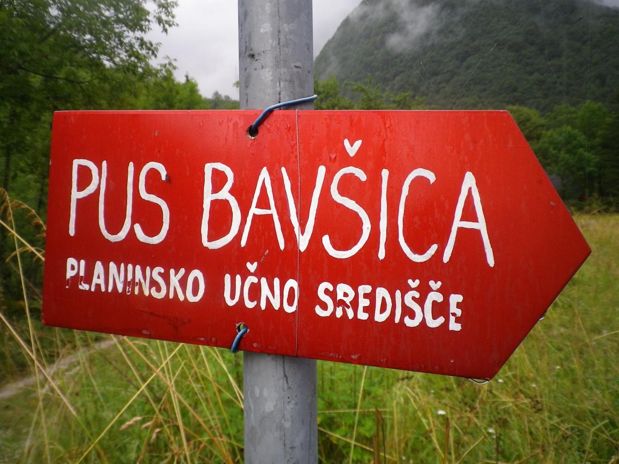 Pus Bavsica Vandrarhem Log pod Mangartom Exteriör bild